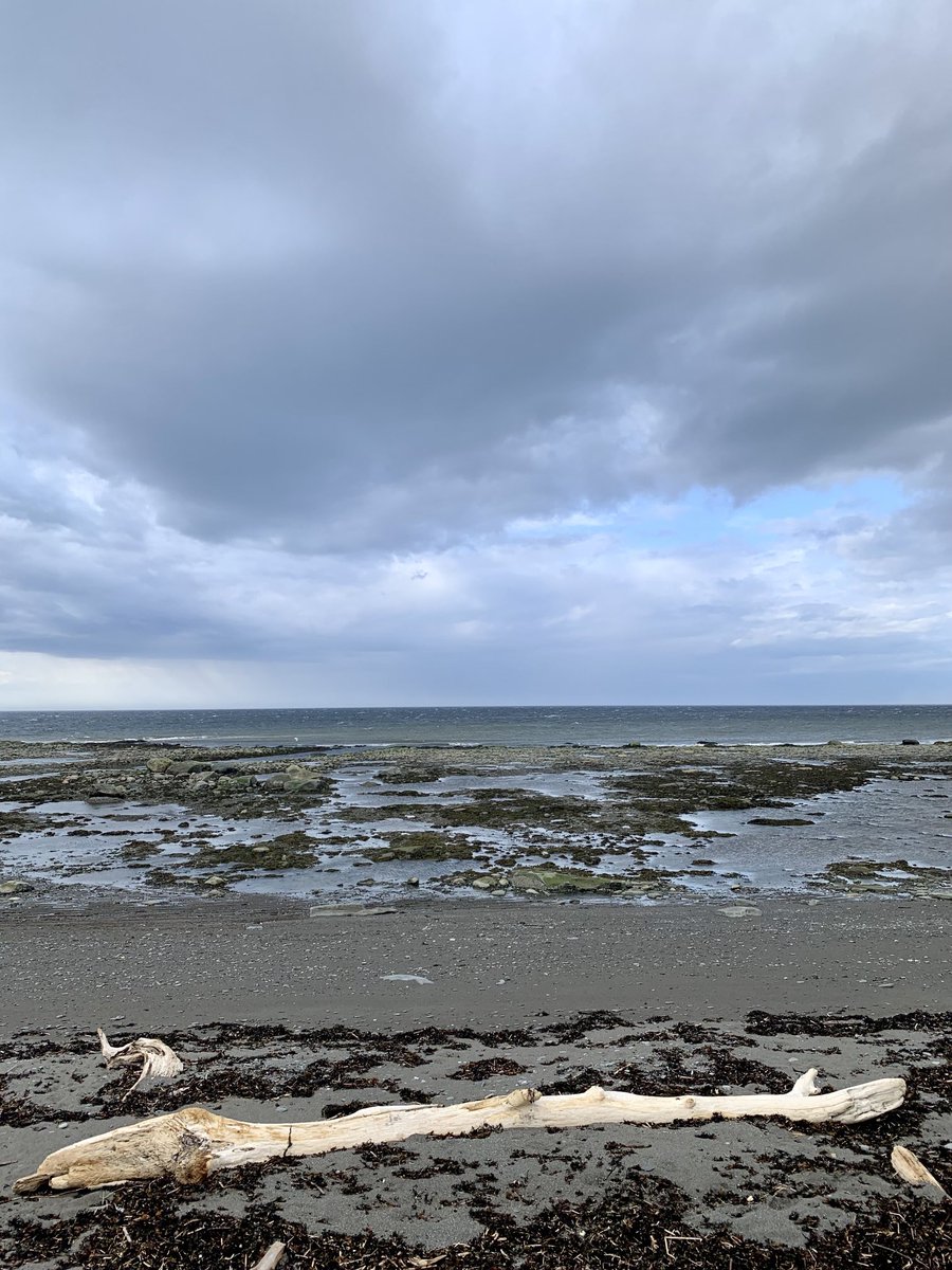NMatanais's tweet photo. Le fleuve St-Laurent aujourd’hui. #Matane #SteFélicité #PetitMatane #Matanie #Gaspésie #Québec https://t.co/OJjfYyD0Oe