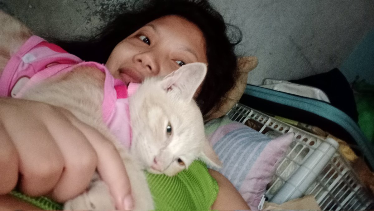 itz_eleine's tweet image. poooor af but atleast i have my clingy luna beside me🤭🤭