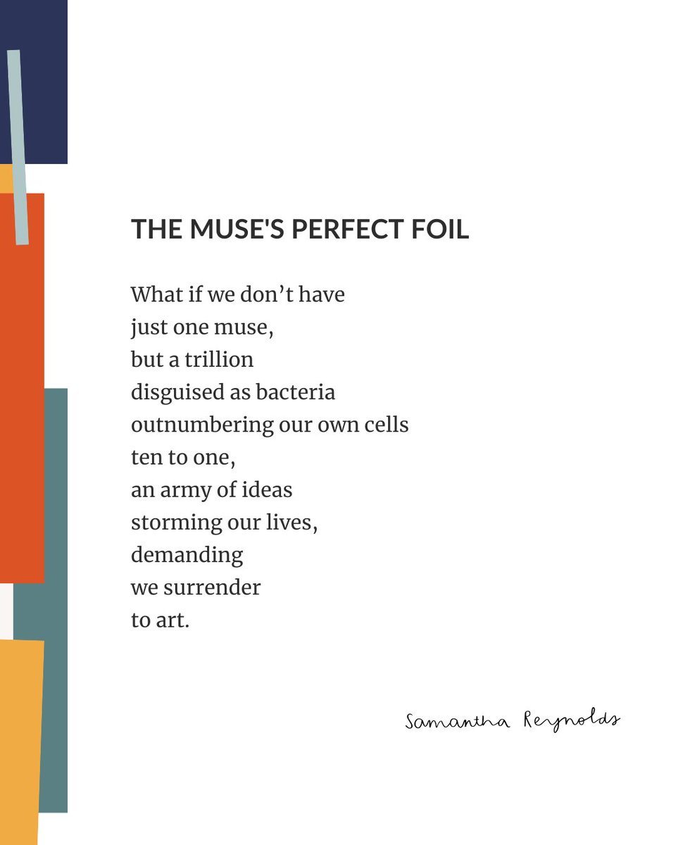 bentlily's tweet photo. What if? 💛
.
.
https://t.co/MkhcFouOu4
#amwriting #poetrytwitter #creativity #poetrylovers #UnleashYourPotential https://t.co/mF2jCjnrvq