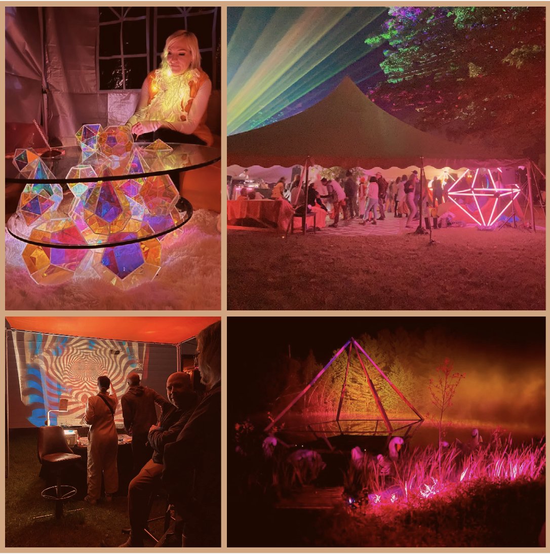 Disorient tweet media