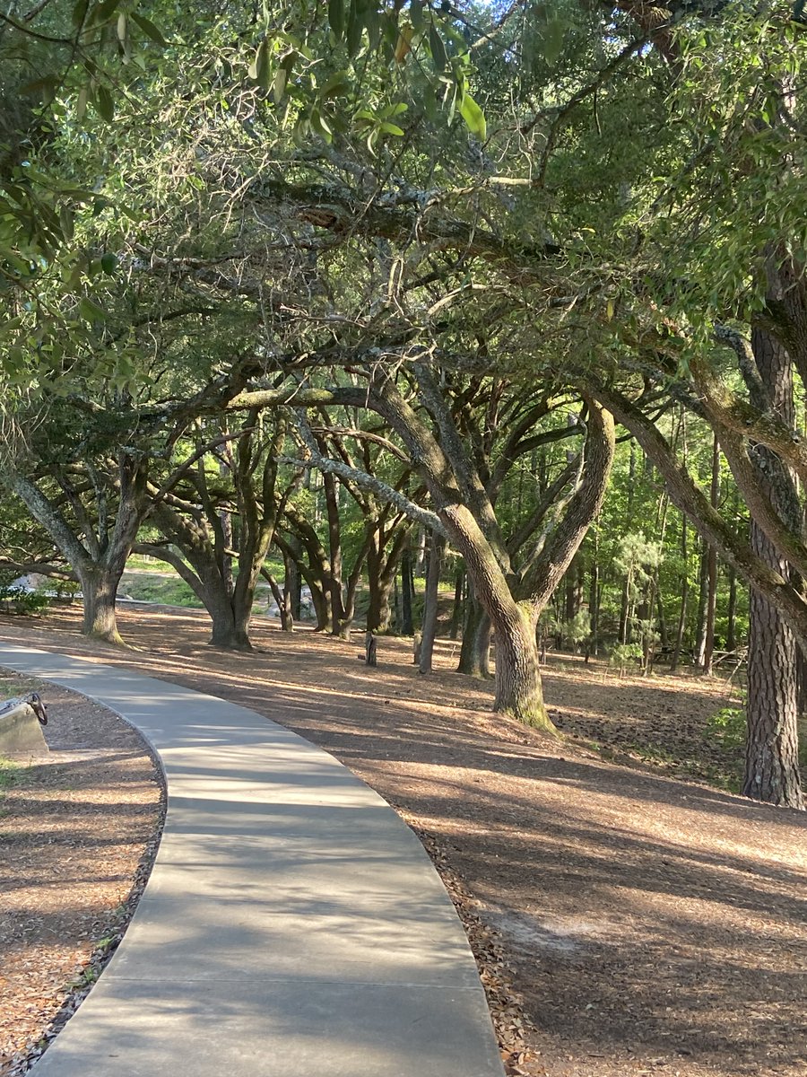 davpaint's tweet photo. Lovely afternoon exploring Sesqui Park in Columbia, SC en route to Blue Ridge mountains! https://t.co/606PDlUK34
