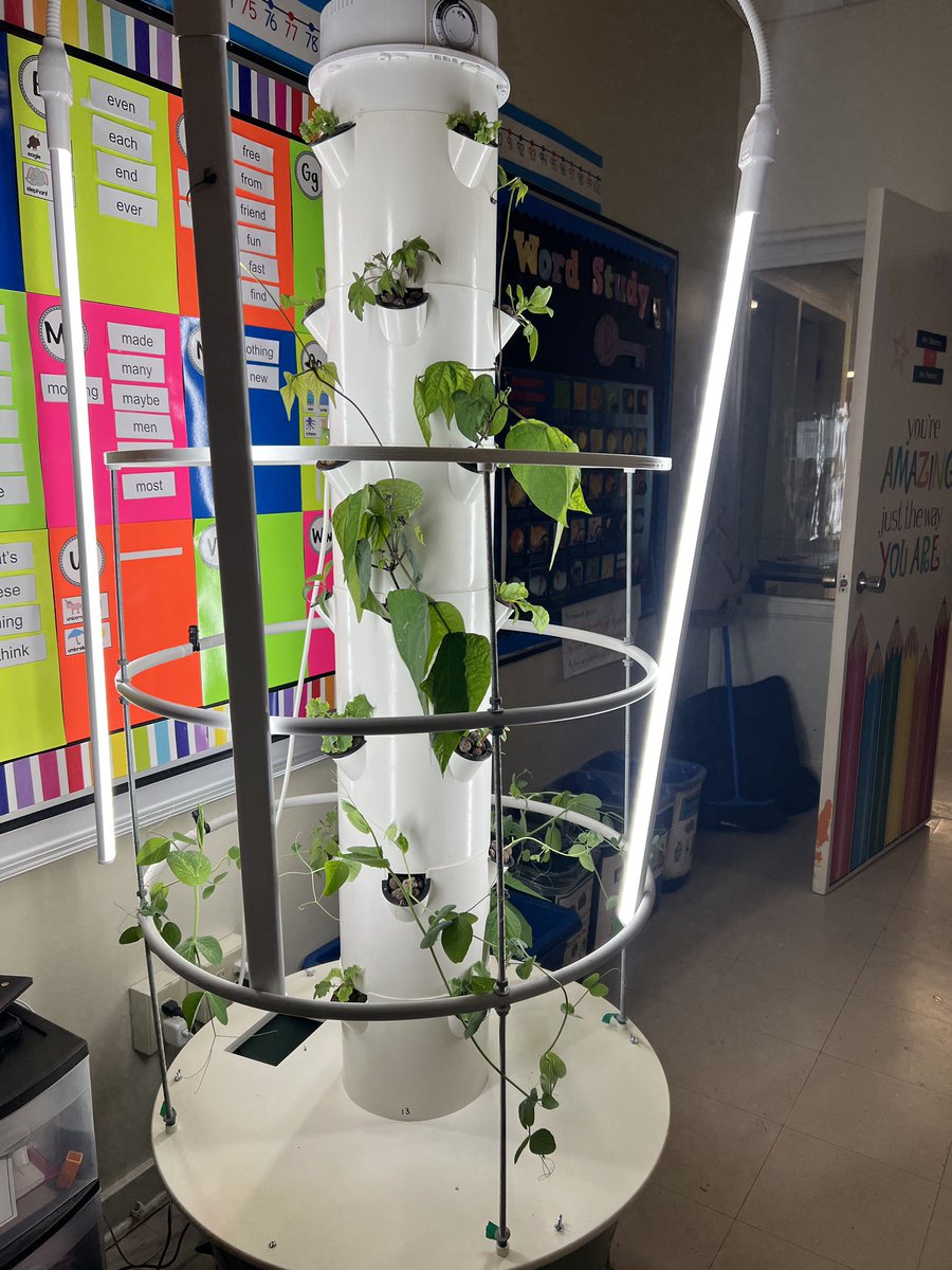 Lawrencetown School tweet media