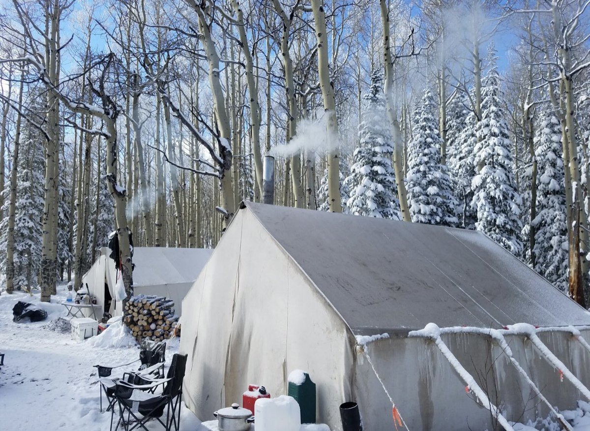 Trips4Trade tweet media