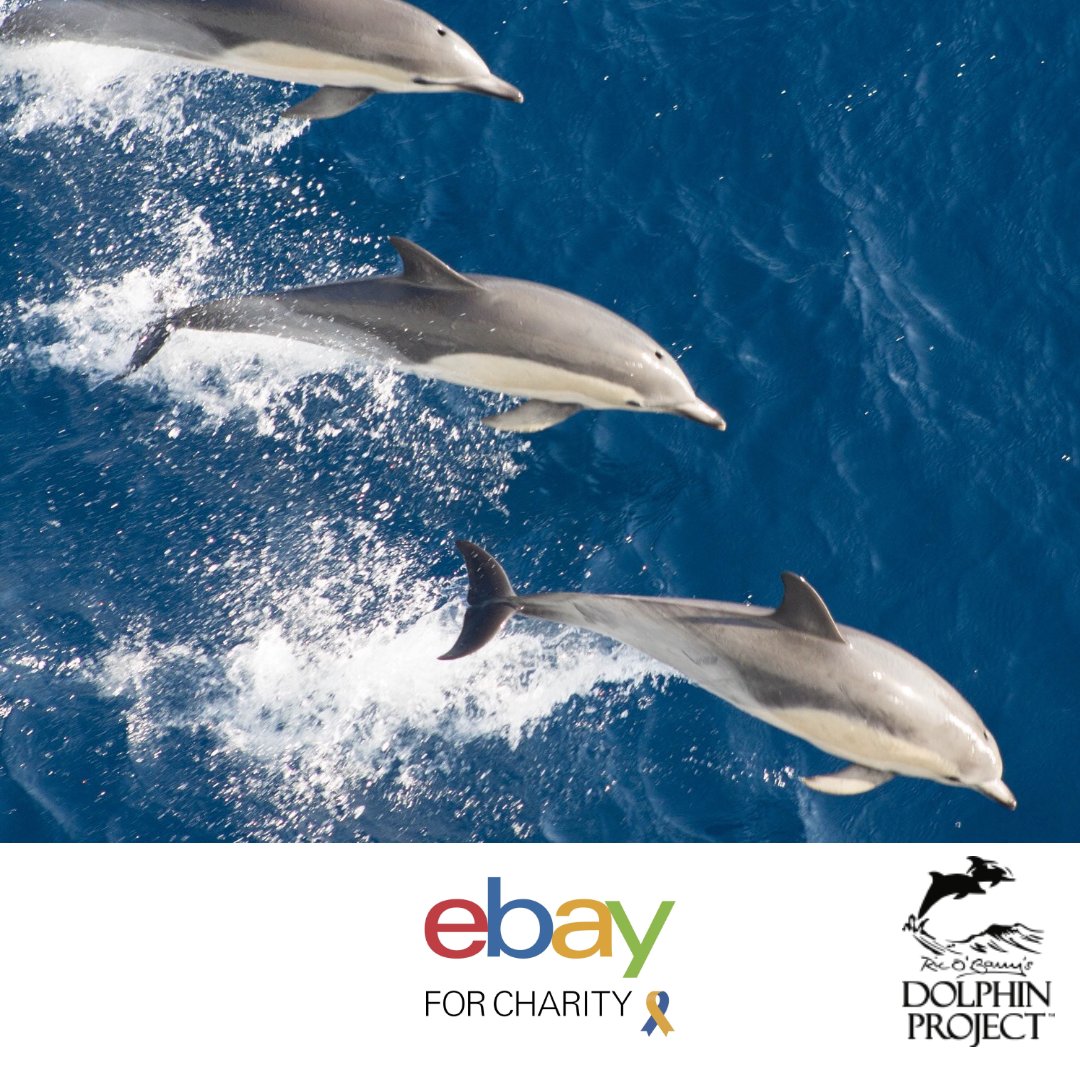 Do you sell on #eBay?
Sign up for eBay For Charity and raise money to help better protect dolphins while selling some of your unwanted items!
🐬 Go to bit.ly/EbayForDolphin…

#DolphinProject
#eBayForCharity
#LetsProtectDolphinsTogether