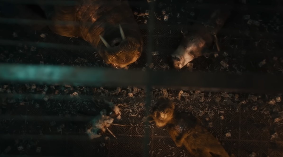 DoctorMinotaur's tweet photo. @OriginalFunko  We NEED a @Guardians pop of either this scene or at least separate pops of Lylla, Teefs, and Floor! Pretty, pretty please! 💙🧡💙🧡 #GuardiansOfTheGalaxy https://t.co/eHK9N7btAT