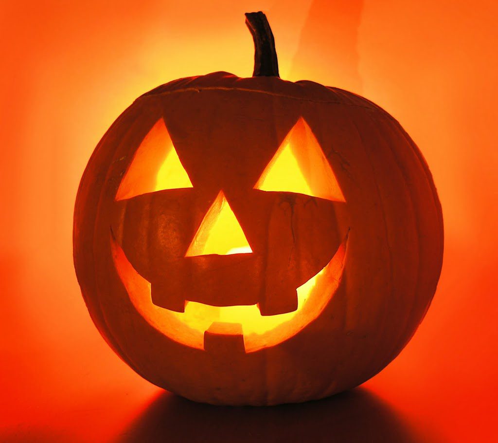 ScaredTopless's tweet image. Hello everyone! We will be back on Twitter posting. Happy Haunting!