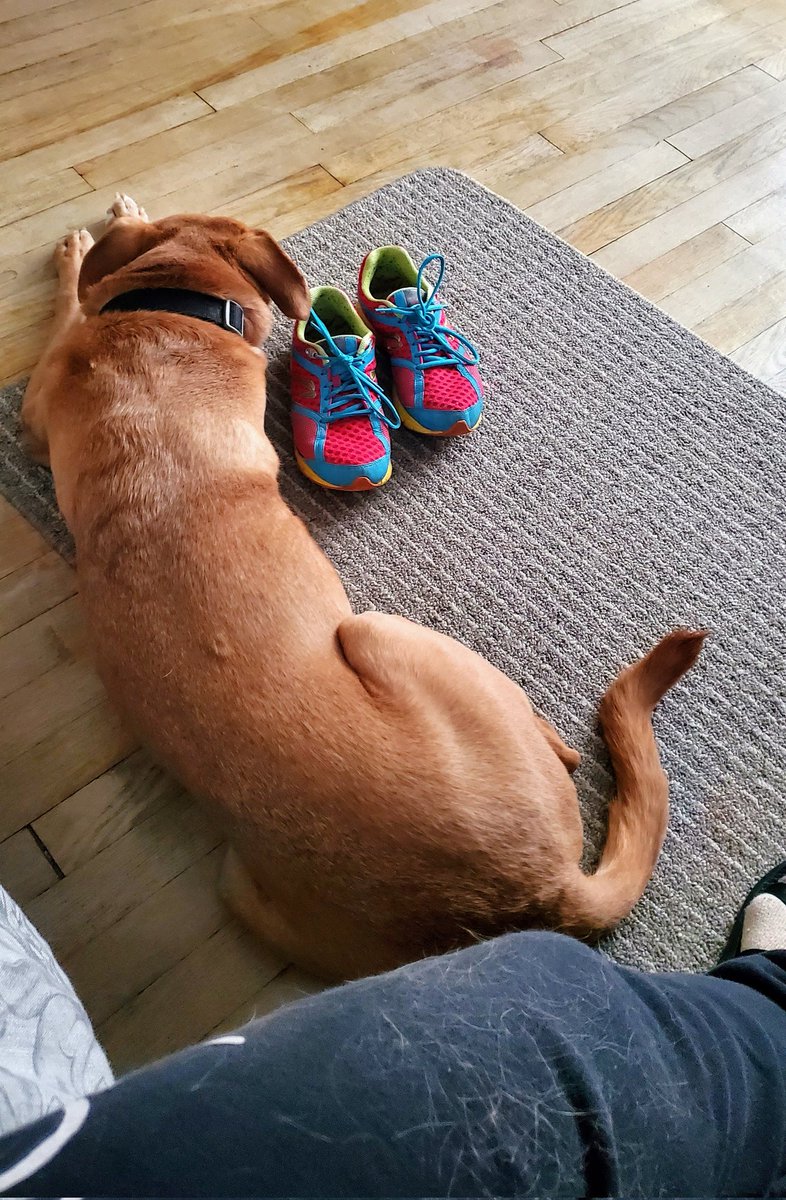 librarylike's tweet image. 