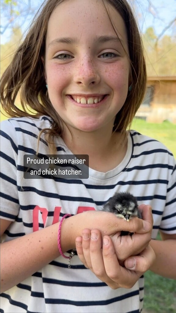FiveMarys's tweet photo. Tessa the Chicken Lady hatched her own baby chicks! She did a few last year but she’s very serious about raising chicks as a business now so she borrowed a better incubator from @omaheff and pulled 12 eggs from her coop. 6 hatched and she couldn’t be mor… https://t.co/n42dMdpp7u https://t.co/1oPte5Roj4