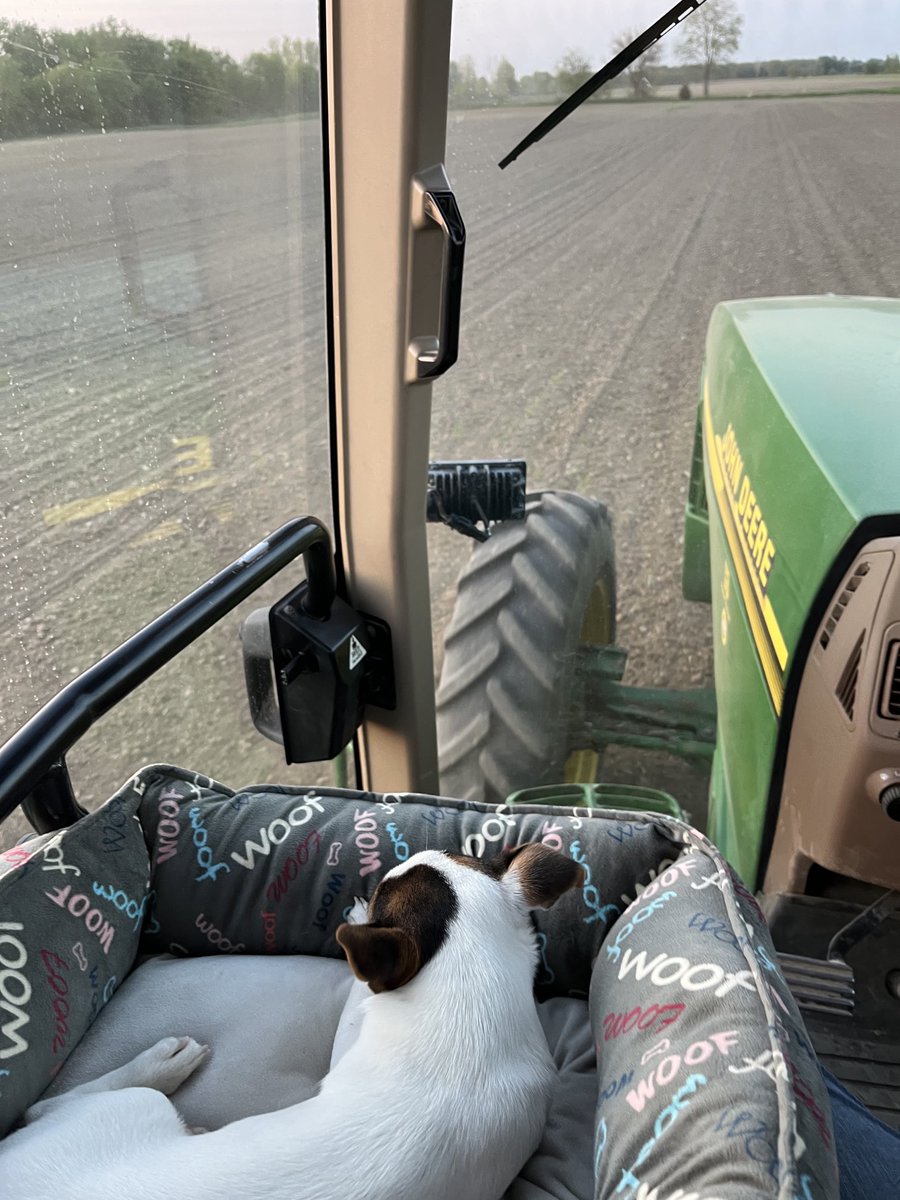 Dan_Foster_'s tweet image. Leroy is just doin ⁦@JohnDeere⁩ tractor dog things. #jackrussell #firstspring