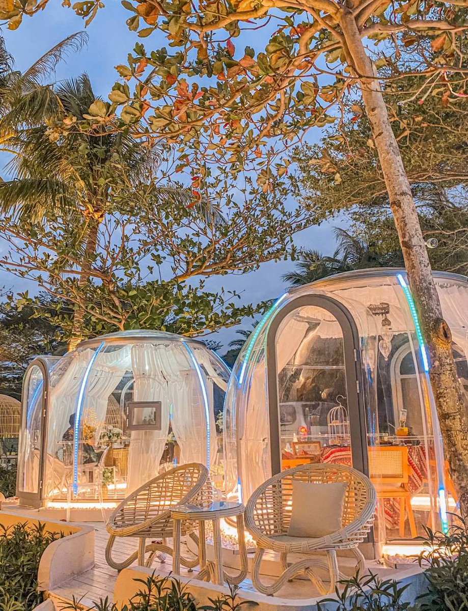 akosugianto1's tweet image. #memoryexpress #SanyaMalhotra