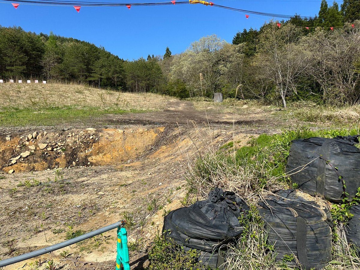 MORI NFT🌳 tweet media