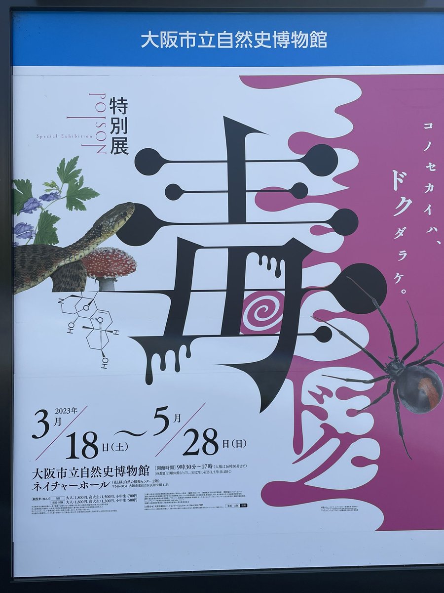 今日はこれ