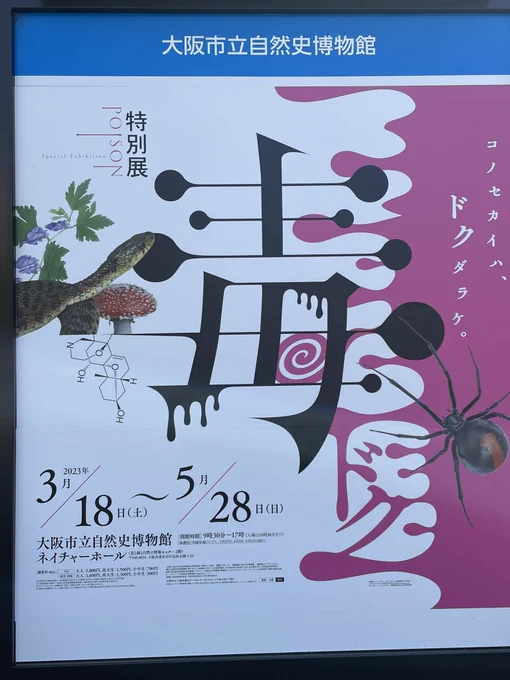 今日はこれ