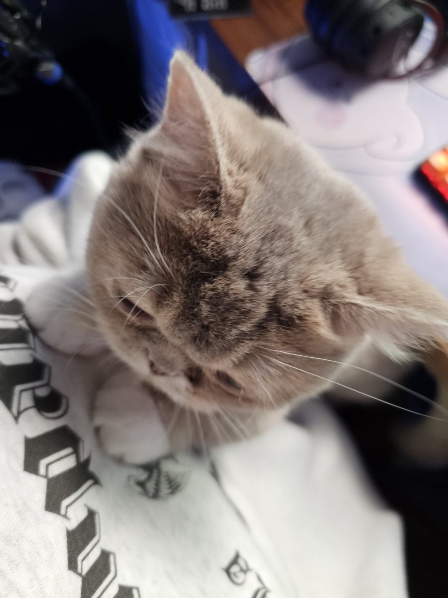 fuslie tweet media