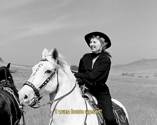 jessgoldschmidt's tweet photo. @criterionchannl Forty Guns! Forty Freaking Guns! https://t.co/zbEdMoKdfg