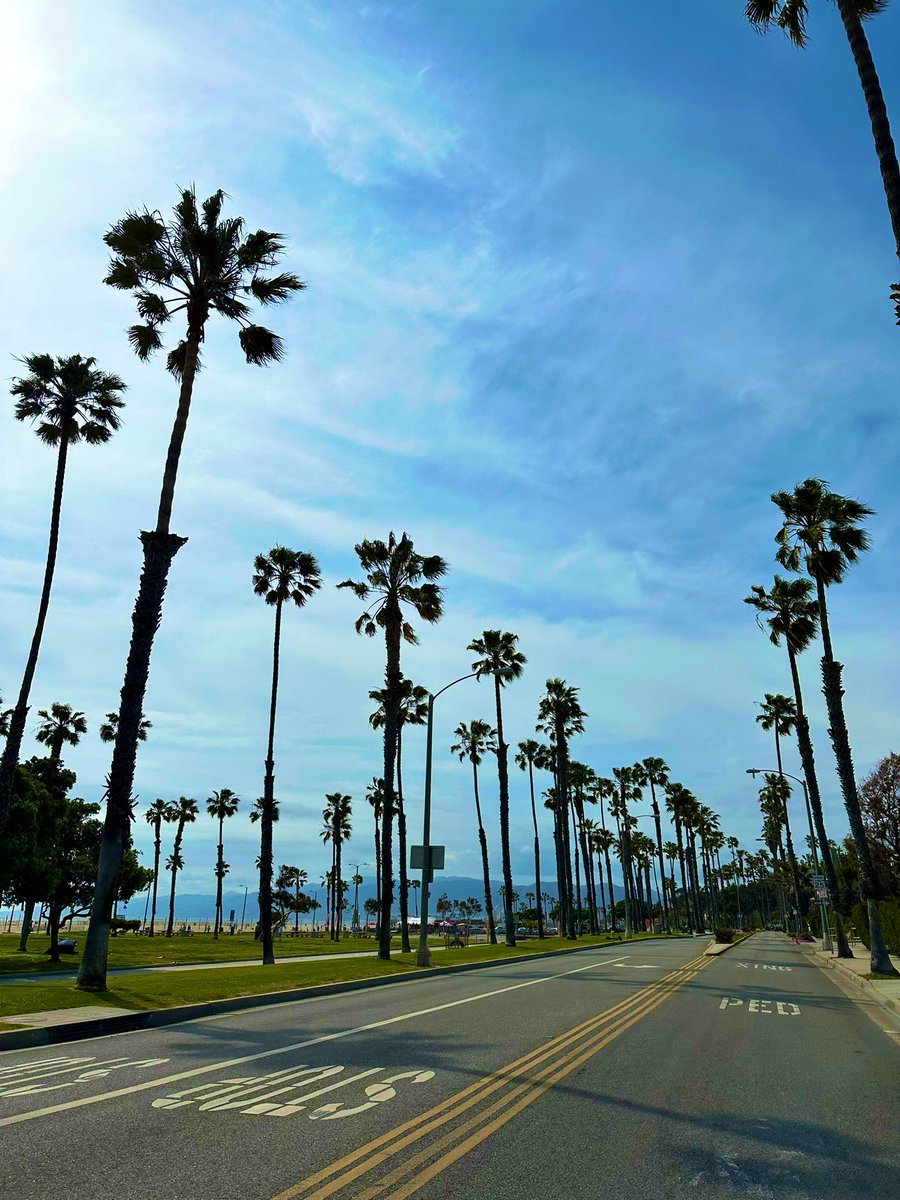 AlexPecoraro17's tweet photo. oh hey Santa Monica! 🩵✨ https://t.co/7KQtXWRkjv