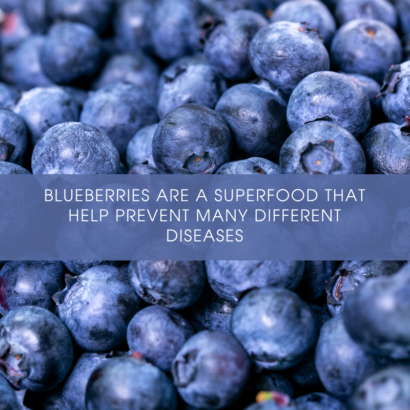 GetFresh_Sales's tweet photo. #FruitsWithBenefits 

A superfood is any food rich in vitamins, minerals, and healthy nutrients.

🔵 Though blueberries may be tiny, they are large in the benefits they add to your life.

Source: Medical News Today

#GetFresh #VegasGrown #OrganicFood #OrganicFruit #HealthyFruit https://t.co/uQAMKTNzUO