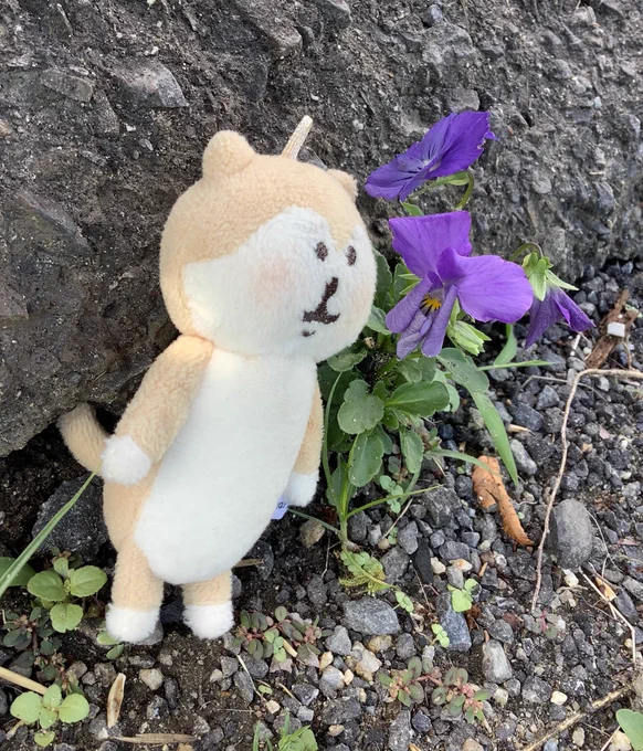 おはなときんぎょ。