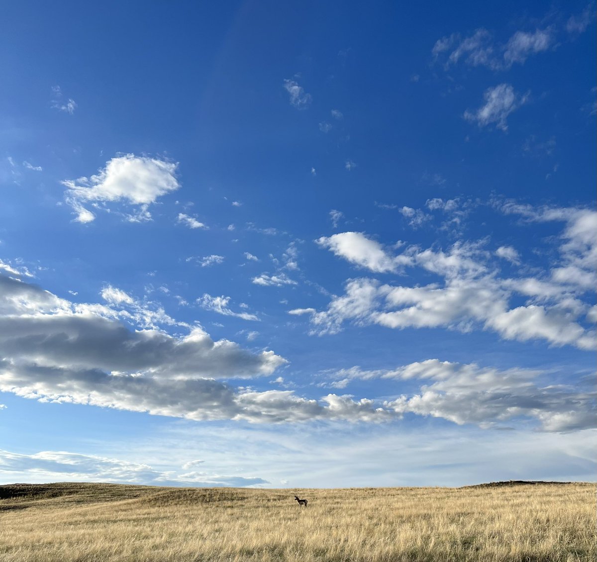 Rob Sisson tweet media