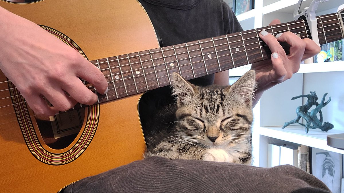 Shiloh is now accepting applications for online summer guitar and ukulele students. You don't learn anything, you just pay to stare at this for 30 minutes.