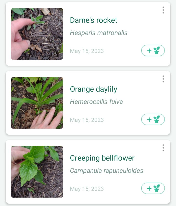 eigenrobot on Twitter "i just cleared a flower bed that i THOUGHT was