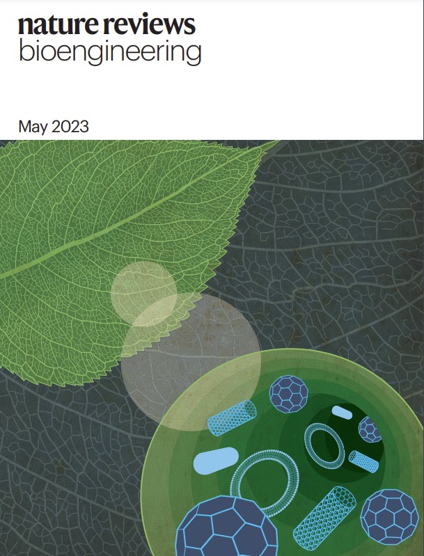 On the ✨cover✨ of @natrevbioeng!! Nano-mediated delivery in plants with an 👁️towards germline tissue delivery & bypassing plant regeneration through tissue culture. We predict some exciting breakthroughs in this space in the coming 3-5 years ☺️ tinyurl.com/ph66t4eu