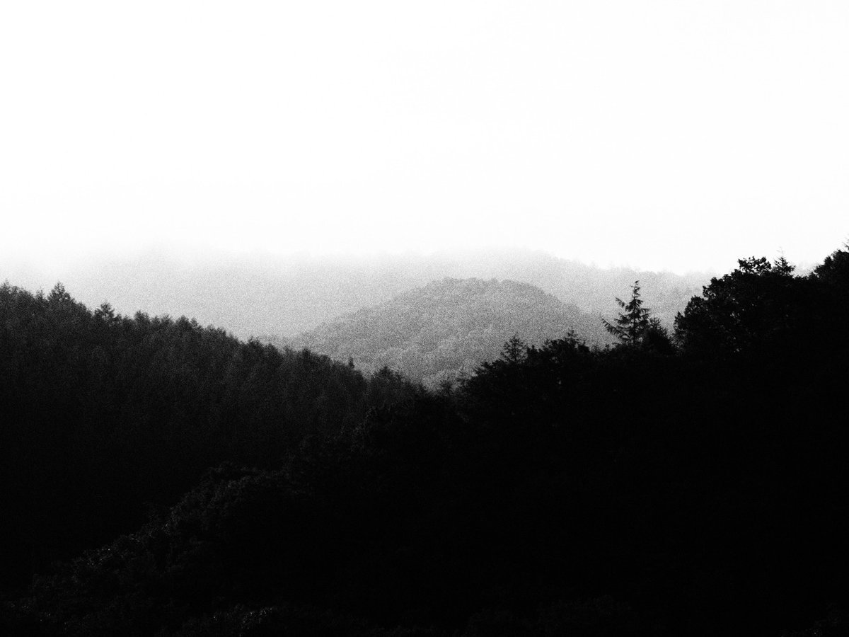 archillect's tweet image. 