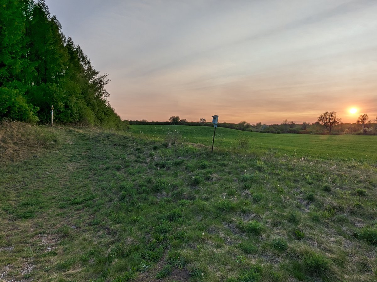 Grateful to be in this gorgeous place as it lights up with spring colour. #crieffhills