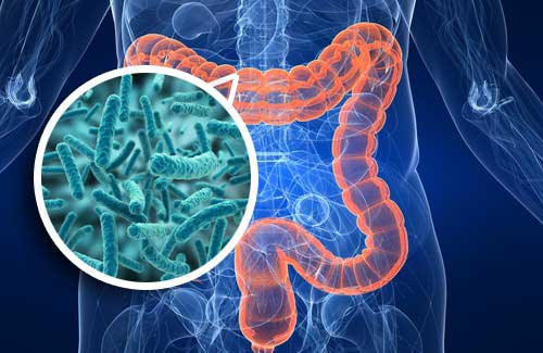 ¿Por qué un grupo de investigadores dice que el #brócoli promueve la #salud #intestinal? bit.ly/3Id7UlJ