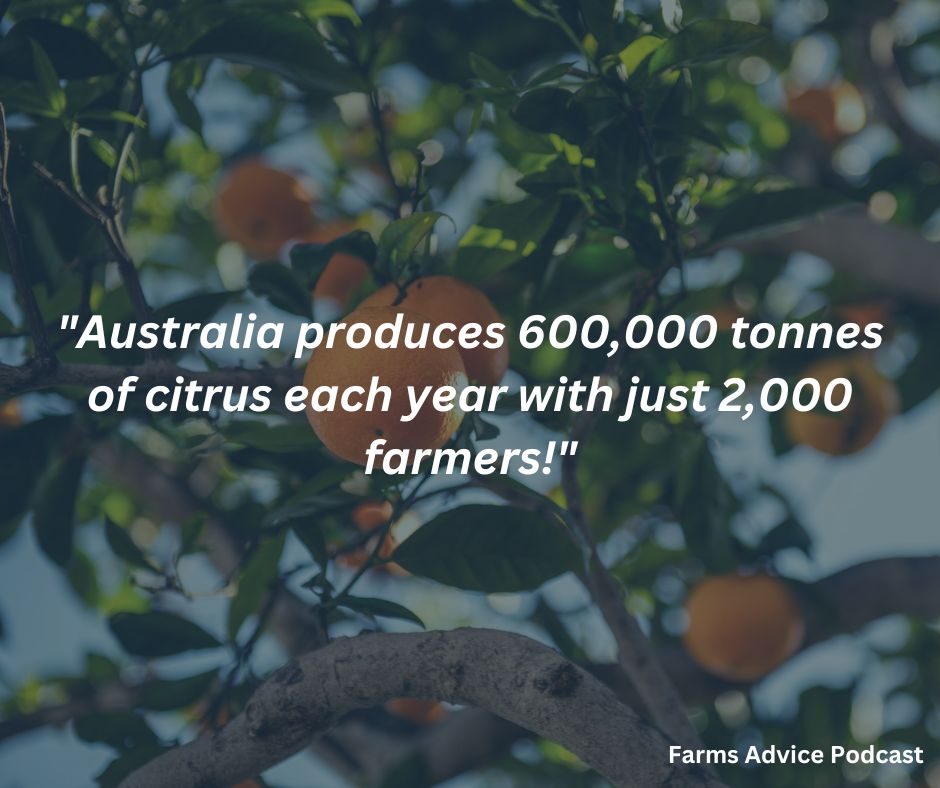 SafeAgSystems's tweet photo. #DYK how much citrus Australia produces yearly? ๐๐
#farmsafety #agriculture #farming #agtech #safetysystem #safetymanagement #safetyandcompliance #healthandsafety #safeagsystems #keepsafekeepfarming #citrus https://t.co/WBpBsl3Igt
