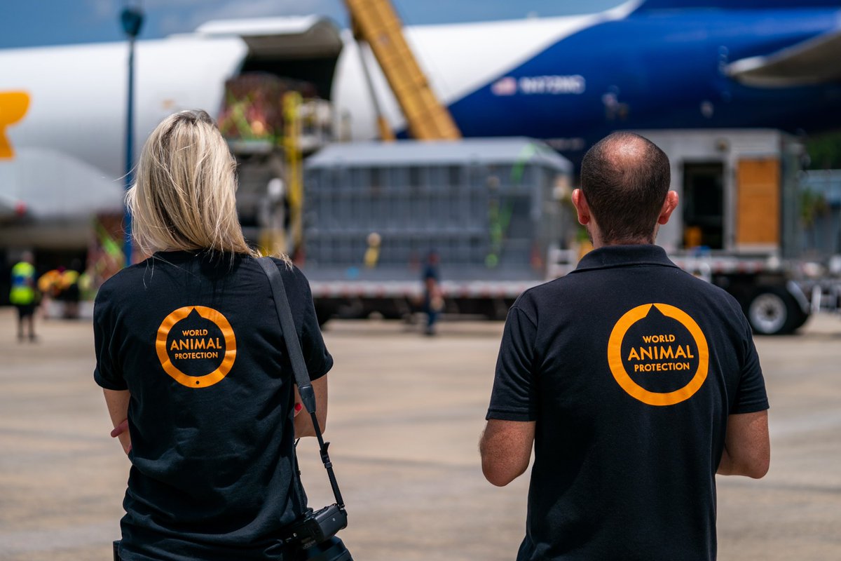 It was the honor of a lifetime to help rescue Mundi, an African elephant who spent 35 years suffering at the Puerto Rico Zoo, and watch her journey to her new home in Georgia. 🐘🧡