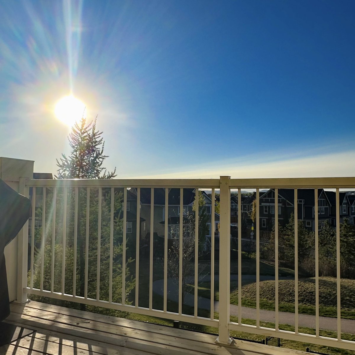 Heather_Dawn_L's tweet image. A few moments of peace, listening to the birds singing and my kiddo laughing and playing  with his friends 😌 #abpoliofftopic #1GoodThing