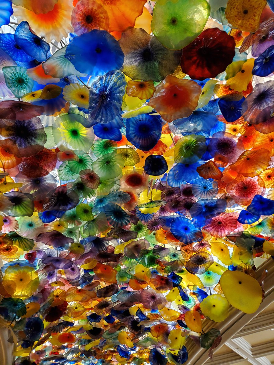 DailyPicTheme2's tweet image. Wednesday 17 May

Today’s Daily Picture Theme is ‘Elaborate'

RT or reply with your own photo 

Tomorrow’s theme will be #Peacful ‘Fantasy'

#DailyPictureTheme 
The elaborate ceiling of the Bellagio casino, Las Vegas.