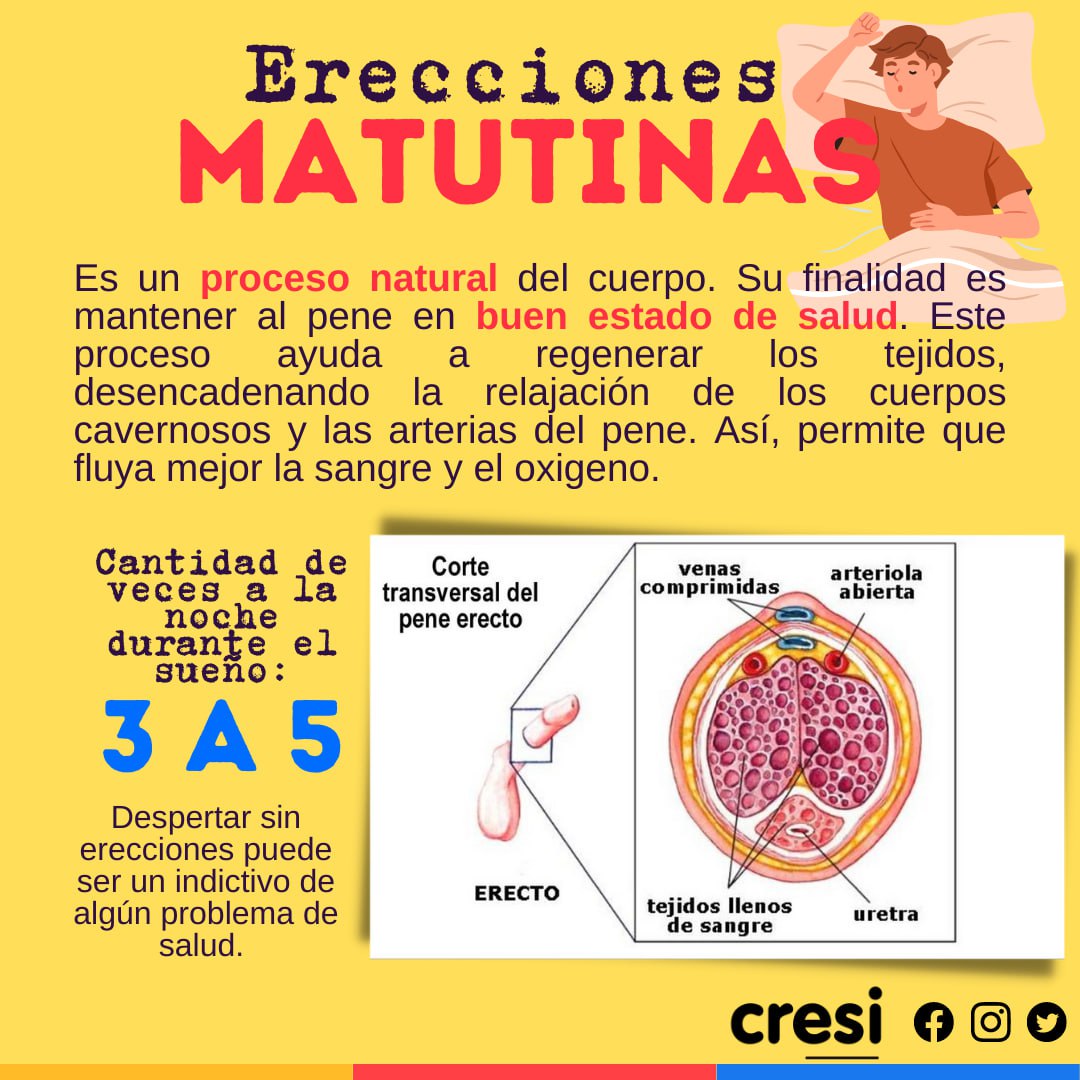 ¿Sabías que las erecciones matutinas es un síntomas de buen estado de salud?