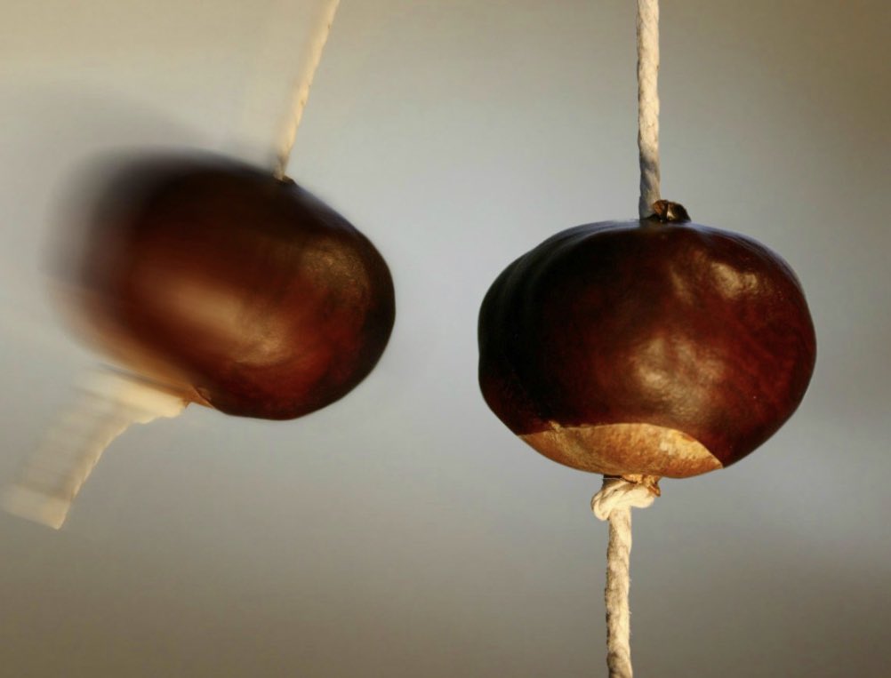 barnesjrd's tweet photo. @IL0VEthe80s Conkers https://t.co/MUhBSW15EC