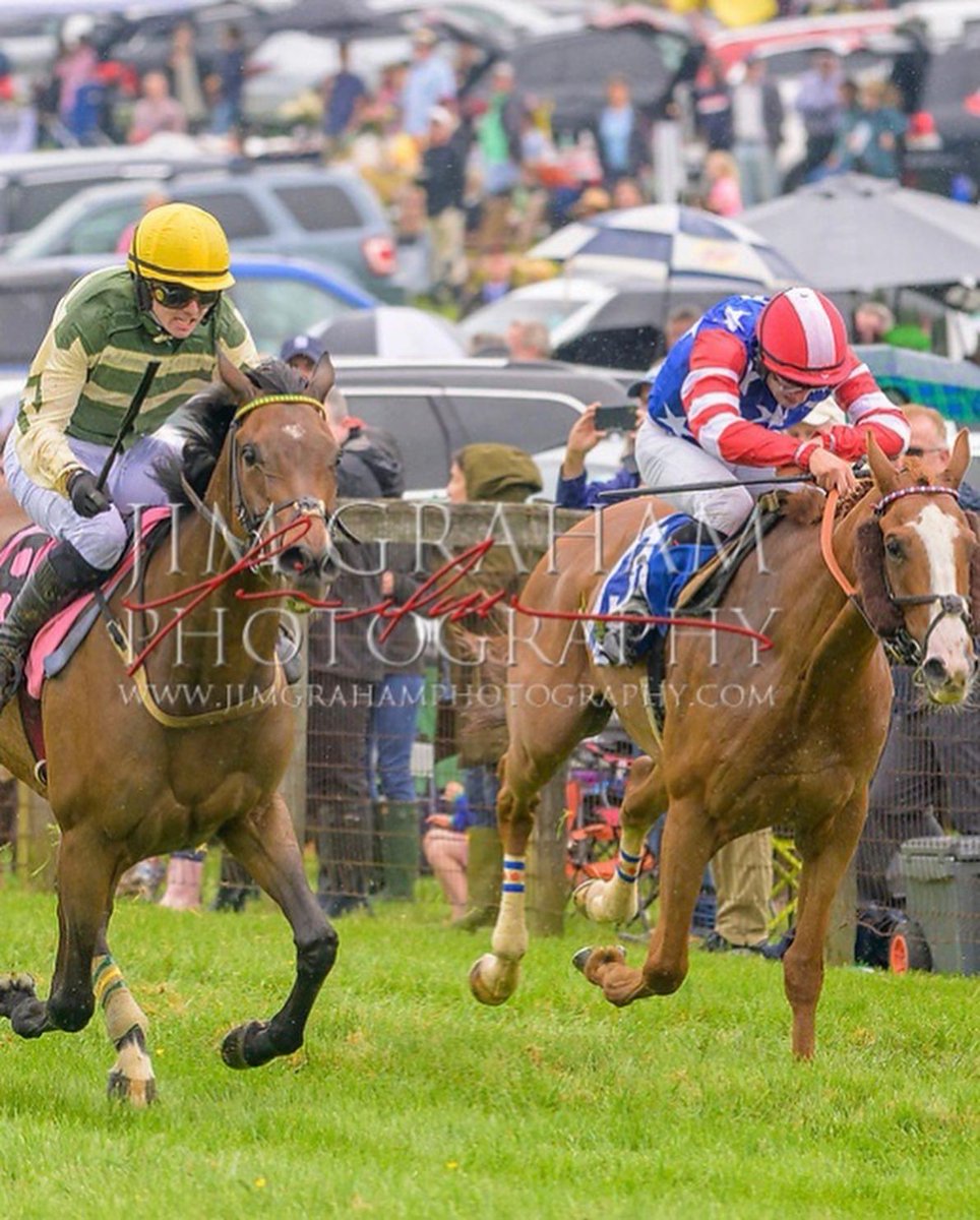 Leslie Falini Young on Twitter "Durragh (Ire) daughter of Camelot wins