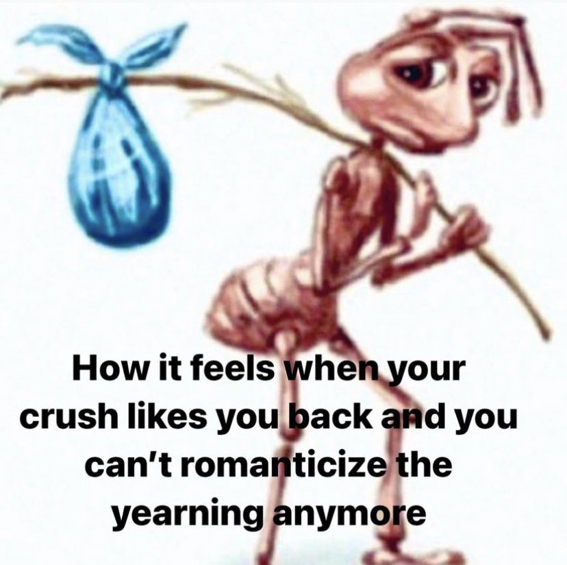 ✧ (@northstardoll) on Twitter photo 