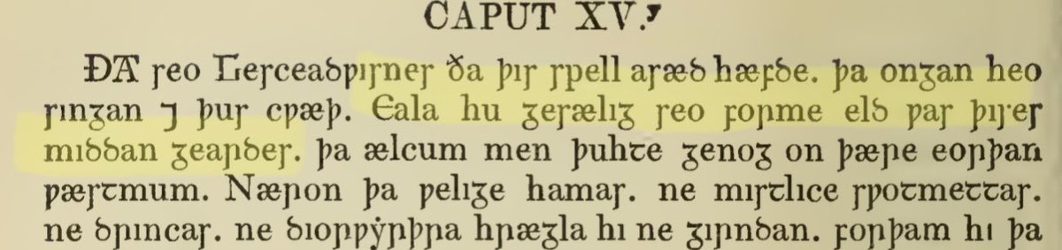 Stori3D Past tweet media