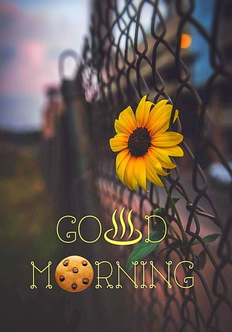 Good morning 🌞🌄

 #goodmorning #goodmorningfriends #explurger #explorepage #explurger_nahi_to_social_nahi #exploreindia