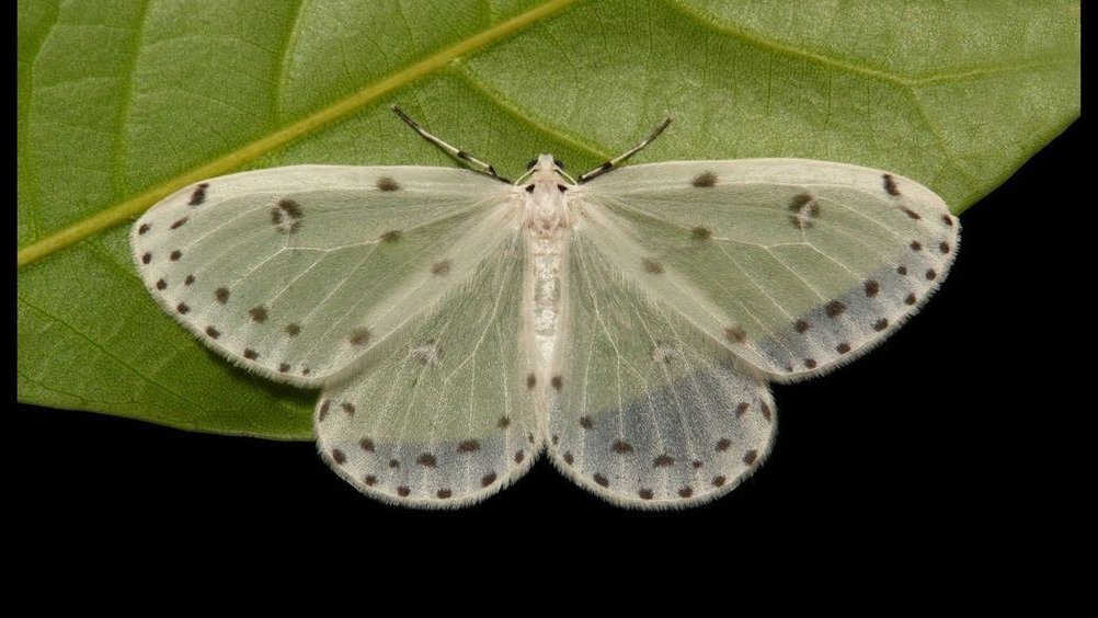 hîv. (@sorrrowfull) on Twitter photo 