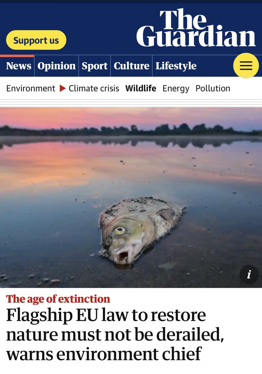 We can do excellent work in decreasing emissions. We can get to zero. But if ecosystems degrade, if soil degrades, if forests & marine ecosystems degrade, they are not able to absorb carbon or mitigate heat. On why Nature Restoration Law is the answer: theguardian.com/environment/20…