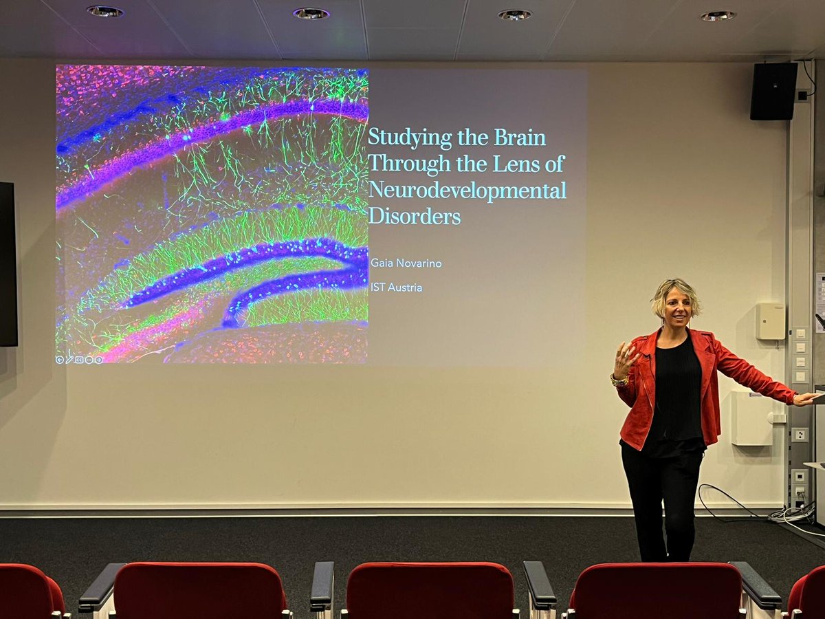 Syn2Psy's tweet photo. 2nd day of #Syn2Psy Final Conference @EPFL, starting with 🗣️ Keynote Speaker Prof. Gaia Novarino @gaianovarino from @ISTAustria on how to study the brain through the lens of neurodevelopmental disorders.
#Neuroscience #Syn2PsyFC @cnc_uc @MSCActions #H2020 https://t.co/meKhIqCw2j