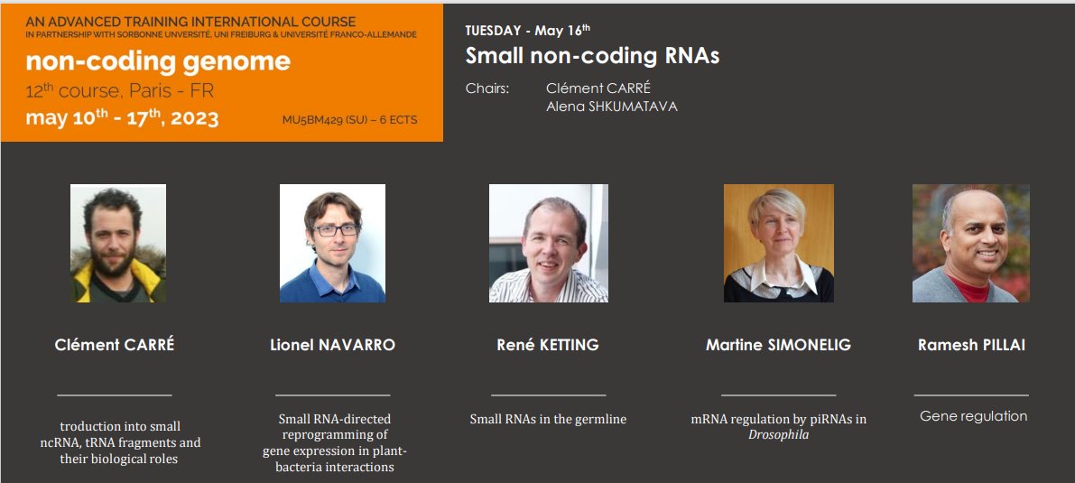 Yes, this is today: siRNA, piRNA and miRNAs, day 5 of the Non Coding genome Course. Thanks to our fantastic speakers: @ClmentCarr5 @NavarroLionel @KettingLab Martine Simonelig and Ramesh Pillai. @maiwench @institut_curie