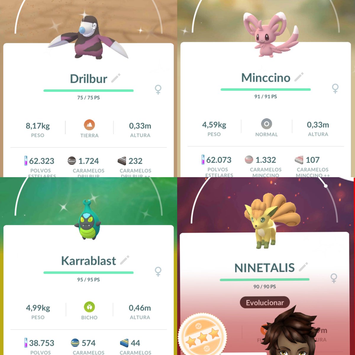 maymasterZN's tweet photo. Resumen de estos 3 días tan provechosos en Tavernes (Valencia): 4 shinys ni más ni menos. Estreno todos menos Minccino, que ya tengo 3. Vulpix de 3 ⭐, los demás malísimos todos 😅🤣.Qué trabajo me ha costado conseguir al cabrón del Drilbur! Karrablast es una locura de precioso🥰 https://t.co/DumHpC4nYC
