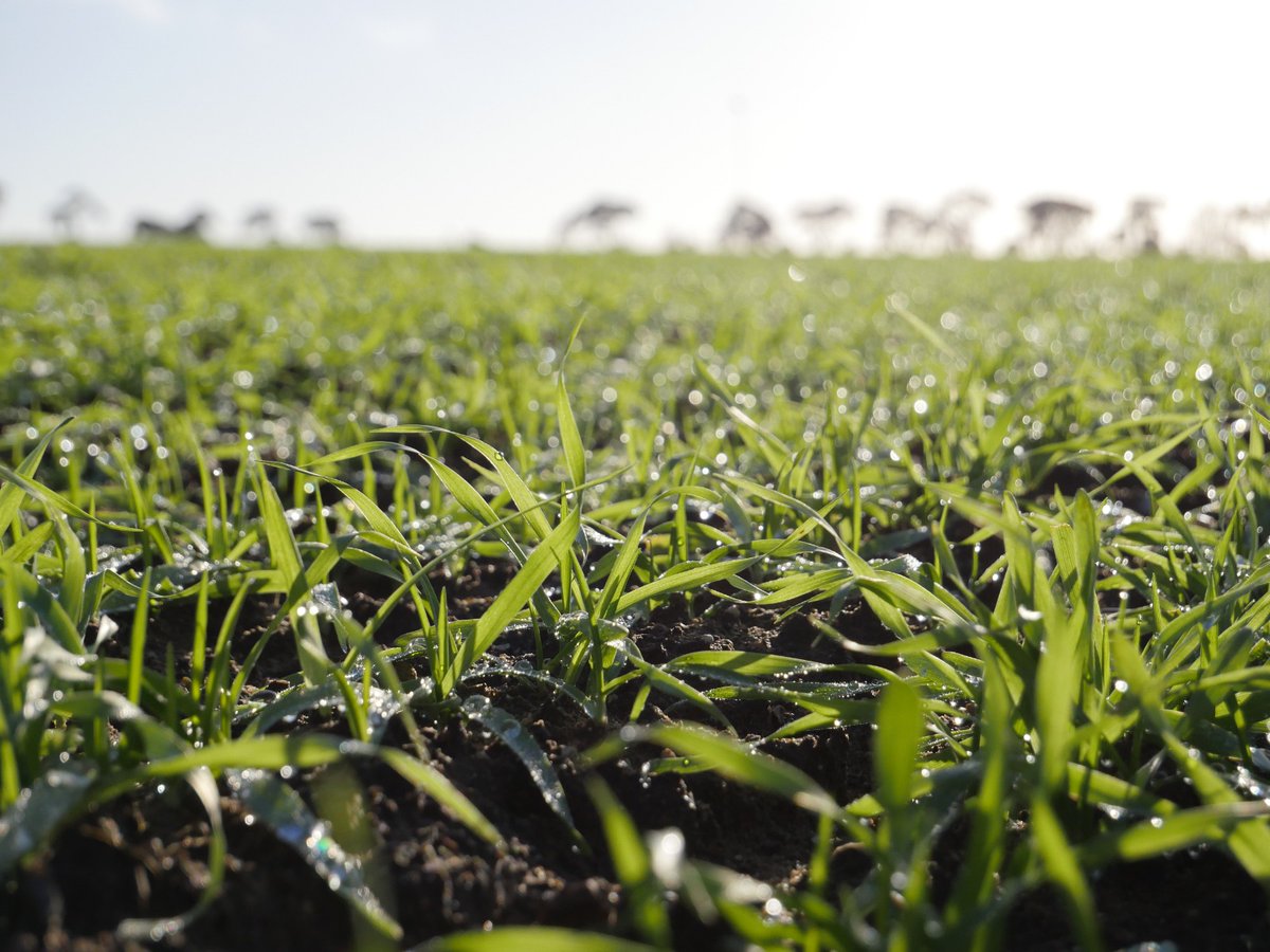On day 2 of #watersavingweek the theme is Water &amp; the Environment.

💧Less water will be used to achieve the same crop yield

💧Heavy rainfall or over-irrigation will limit the washing away of nutrients

💧It breaks down to leave water, CO₂ and organic matter

#watersavingweek