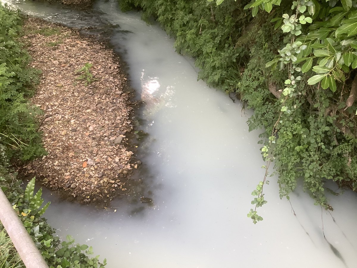 @WandleForum @ITattum @EnvAgencySE @thameswater @SE_Rivers_Trust Looks like another dump of milk. Noticed a similar incident on the R Wriggle last year. Milk has a very high biological oxygen demand (BOD) causing deoxygenation and so will have harmful effects.