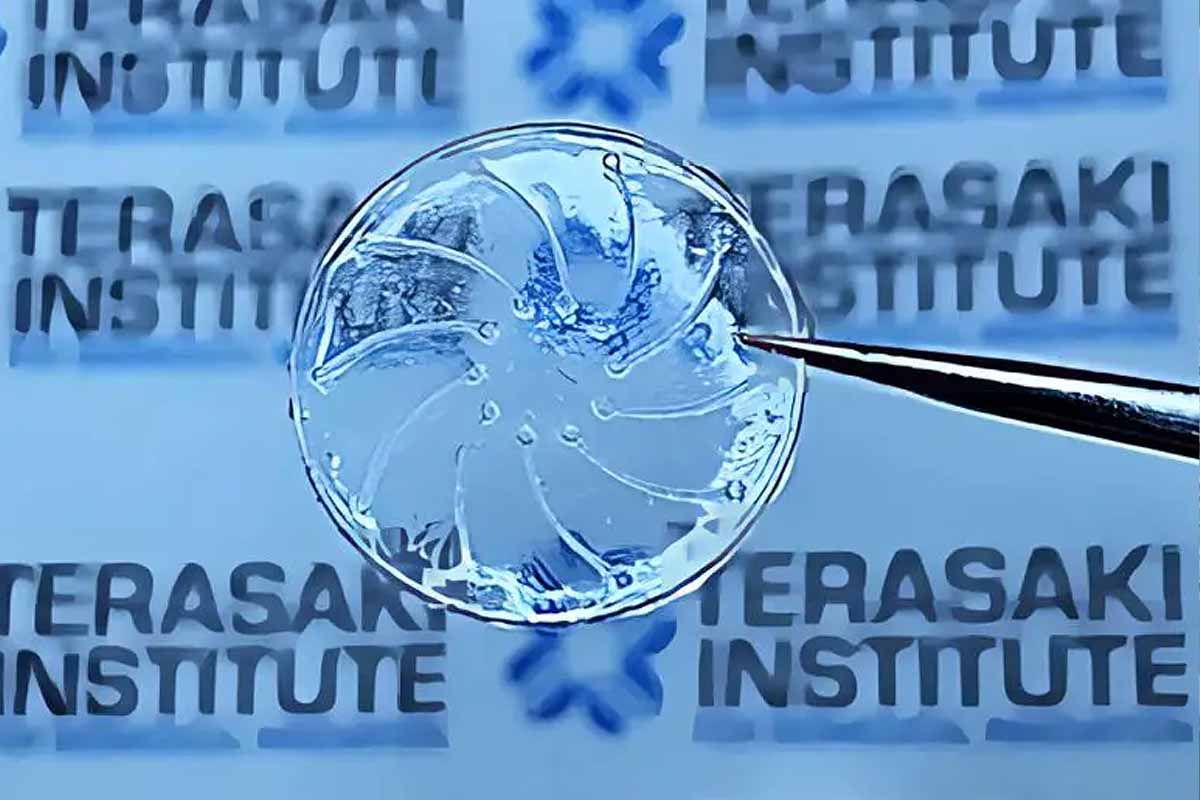 eiffelcommerce's tweet image. Des chercheurs ont inventé une lentille de contact qui permet de lutter contre le syndrome de l&apos;œil sec. Comment ça fonctionne, disponibilité en France et intérêt... On fait le tour de la question ! 🤓
#pharmacie15eme  mon.articleinfo.net/r/1xpqxpe