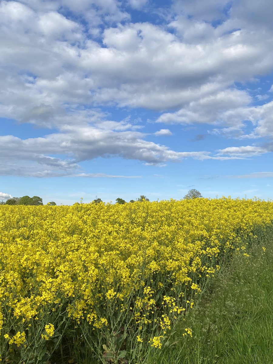 maria elia tweet media