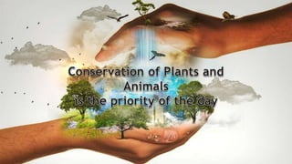 #biodiversity 🌎
<a href="/_RLMT/">RLMT: withdrawn. (👋🏽...💙 ☁️ ~ 📚)</a> <a href="/Adele_Royce/">Adele Royce</a> <a href="/booksbyJeanneR/">Jeanne Roland</a> <a href="/BoughRuth/">Ruth🟧🟦 ,💔</a> <a href="/CK_Ruppelt/">C.K. Ruppelt 💔 for 🇺🇦+🇲🇲</a> <a href="/CordonRoma/">Roma Cordon, Author</a> @FayeRapoDesPres <a href="/FlorMeninnaa/">Regina 🍭🍬</a> <a href="/GloriaMarketer/">Marie C. Rivera</a> @J_RomanceWriter <a href="/jeff_brett1931/">Red Cafe Books</a> <a href="/JRyan_Author/">Jack Ryan</a> <a href="/Kellyrei007/">Kelly Miller, Amazon Best-Selling Author 💜🐶🐎</a> <a href="/MillieThom/">Millie Thom</a> <a href="/MatesofAlliance/">Mates of the Alliance</a> <a href="/martiandiaries/">The Martian Diaries 👽The War Of The Worlds Sequel</a> <a href="/LisaThomasBooks/">Tanzania Sugar Dating</a> <a href="/lindsayromantic/">Lindsay Townsend</a>