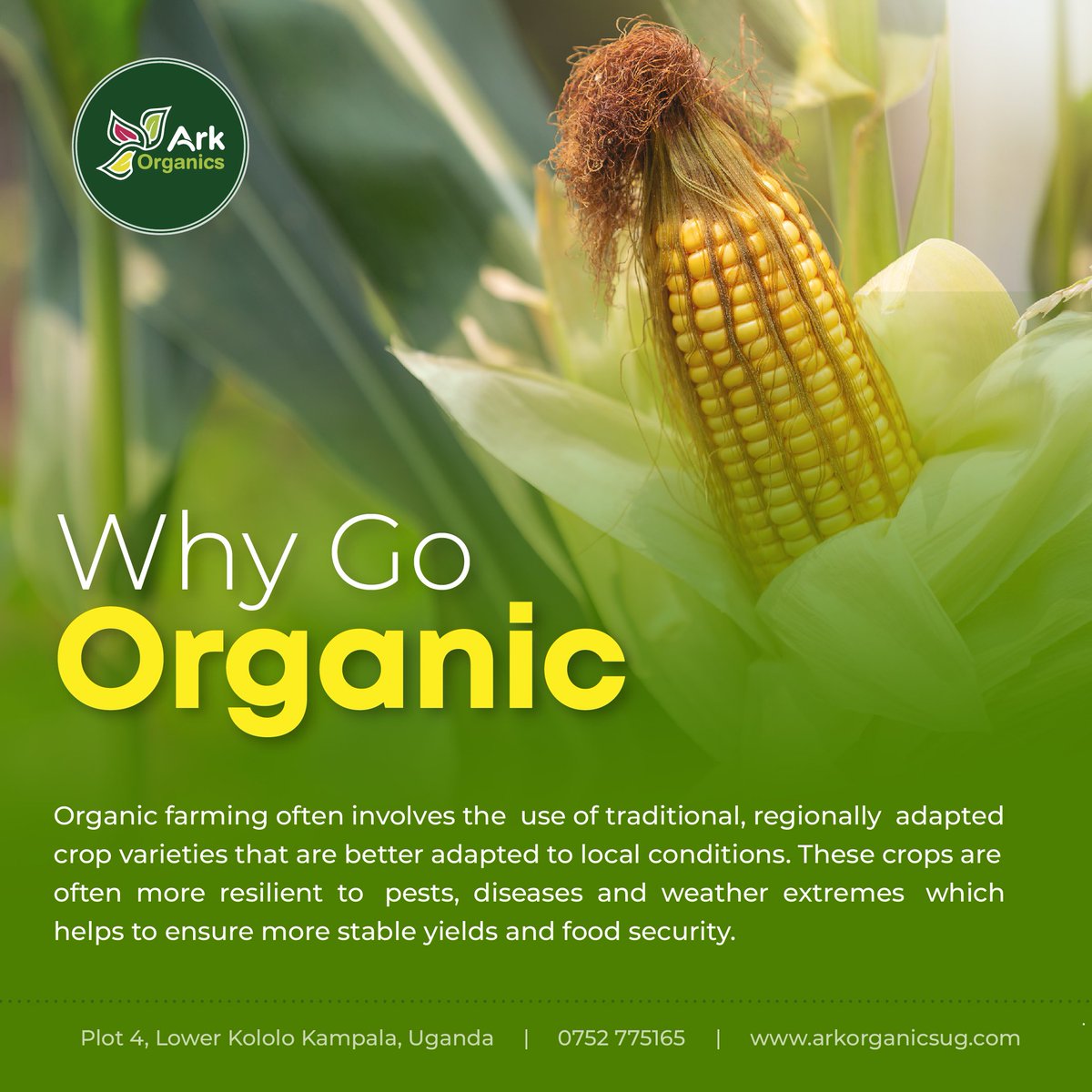 Here is why you should Go Organic 👆

#environment #conversation #ecosystem #organic #sustainablepractices #farming